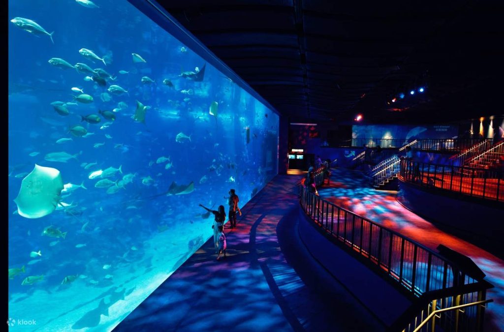 How Does the S.E.A. Aquarium Create a Mesmerizing Underwater Experience?