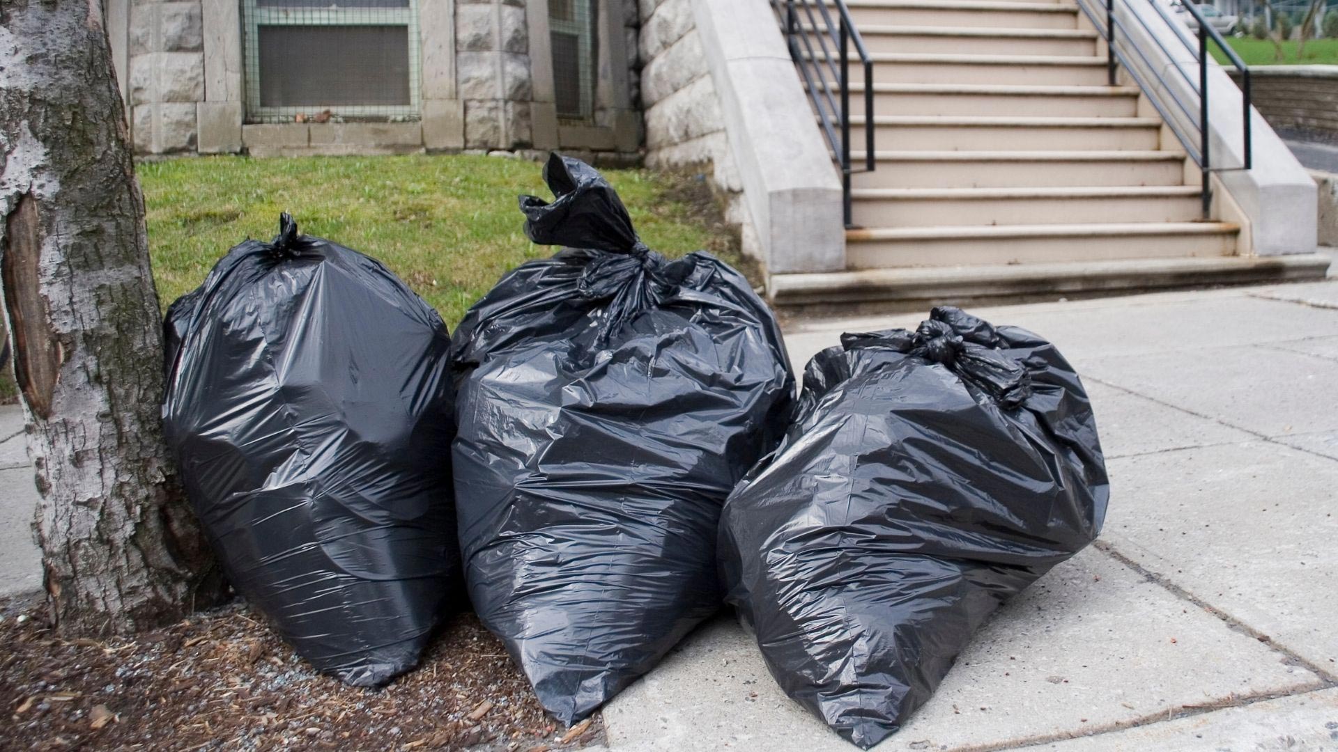 Affordable Cleanout Solutions for Creating More Functional Home Spaces