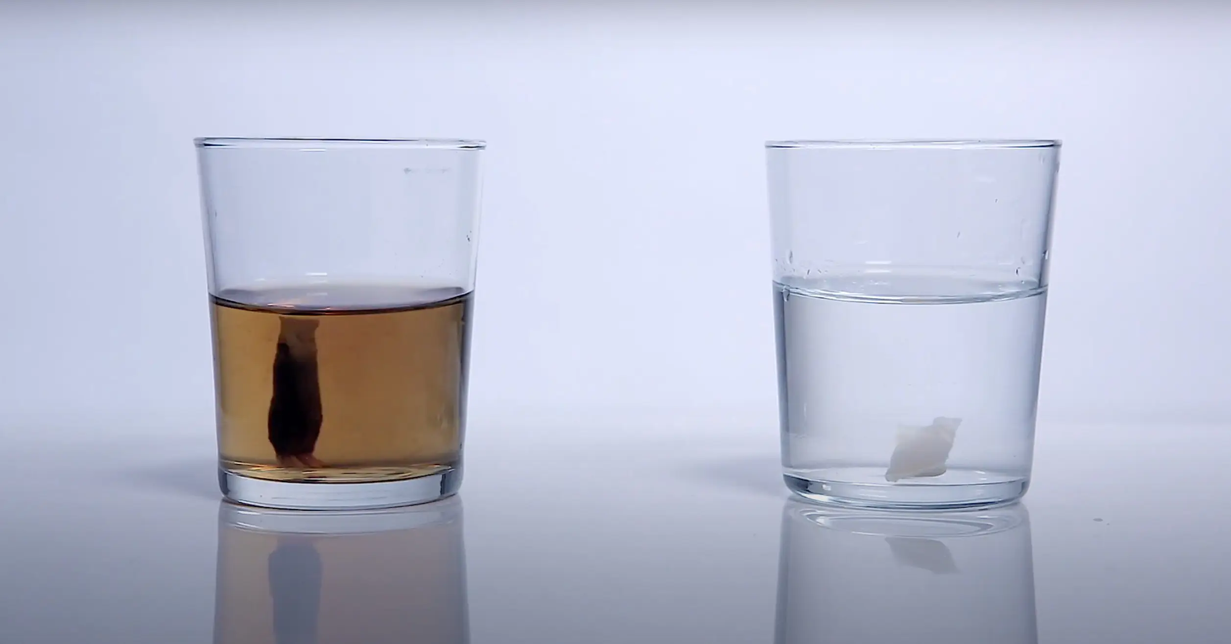 Can You Take Nicotine Pouches on a Plane?